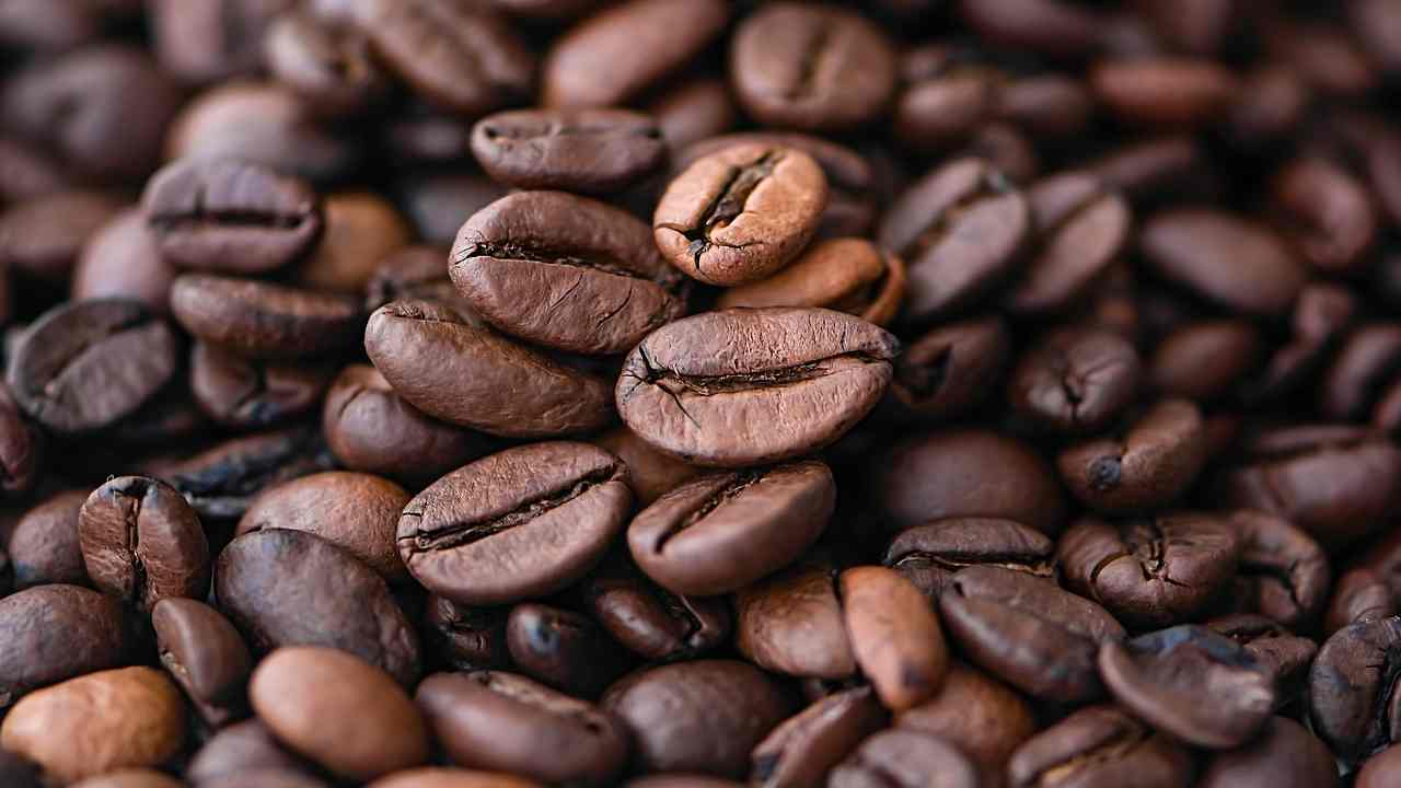 Caffè pregiato la top ten mondiale