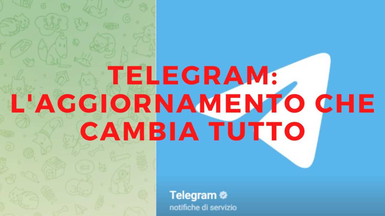 Telegram BonificoBancario 20220916