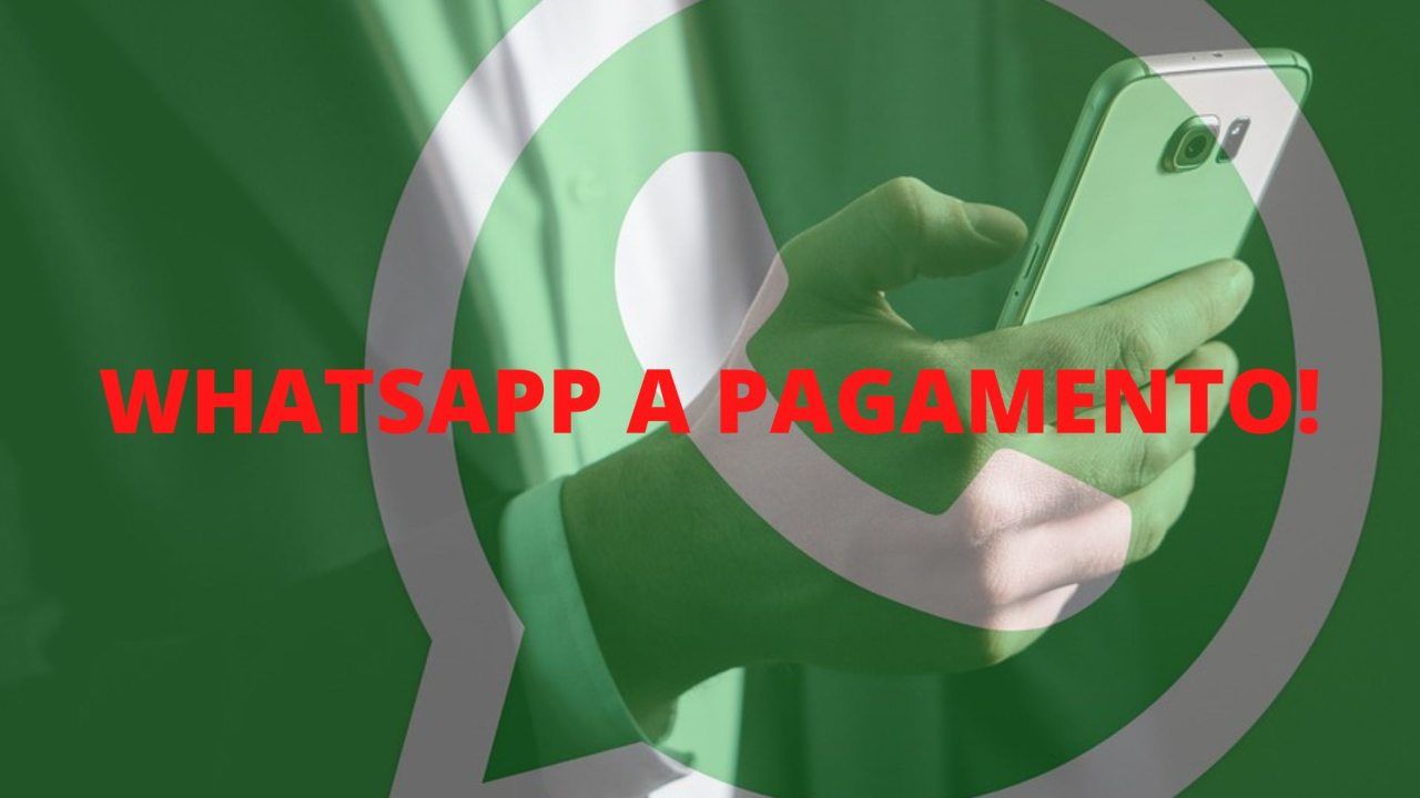 WhatsApp premium pagamento