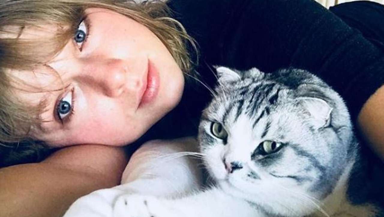 Taylor Swift Olivia Benson gatto